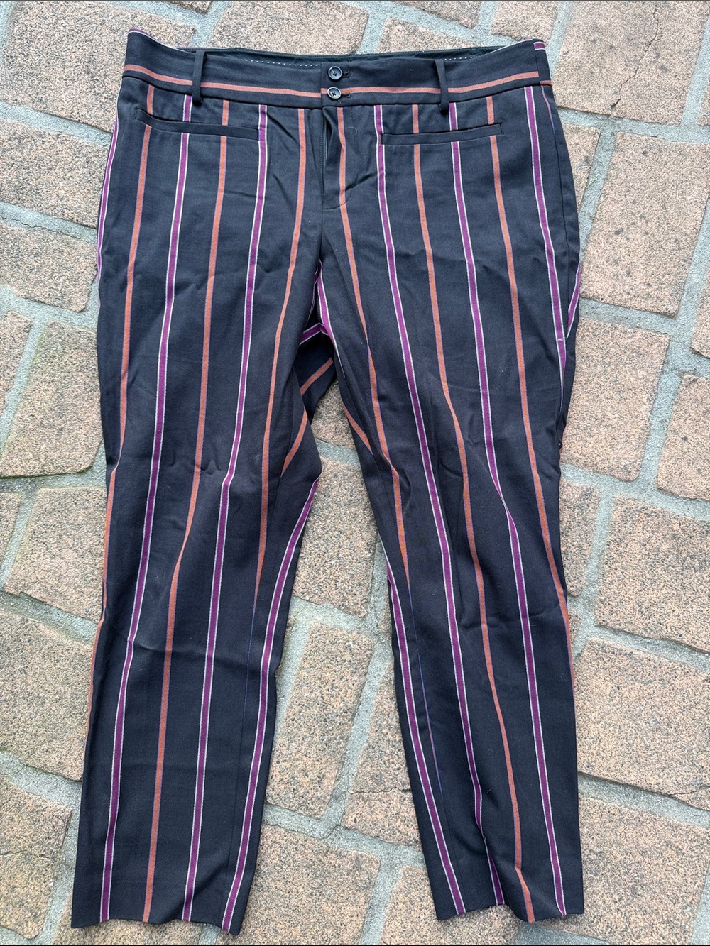 Anthropologie Black Dress Pants with Pink and Orange Pinstripes 14